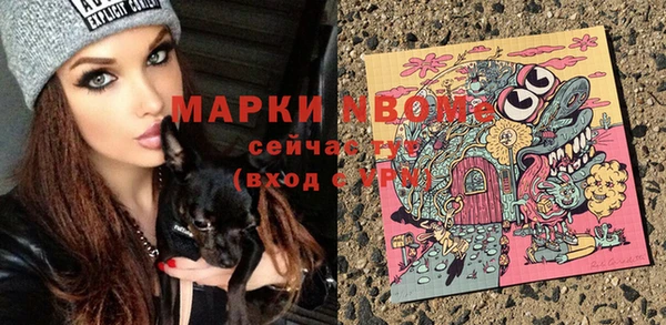 соль ск Рославль