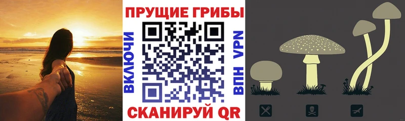 Галлюциногенные грибы MAGIC MUSHROOMS  blacksprut маркетплейс  Шали  купить  сайты 